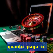 quanto paga o jungle fight